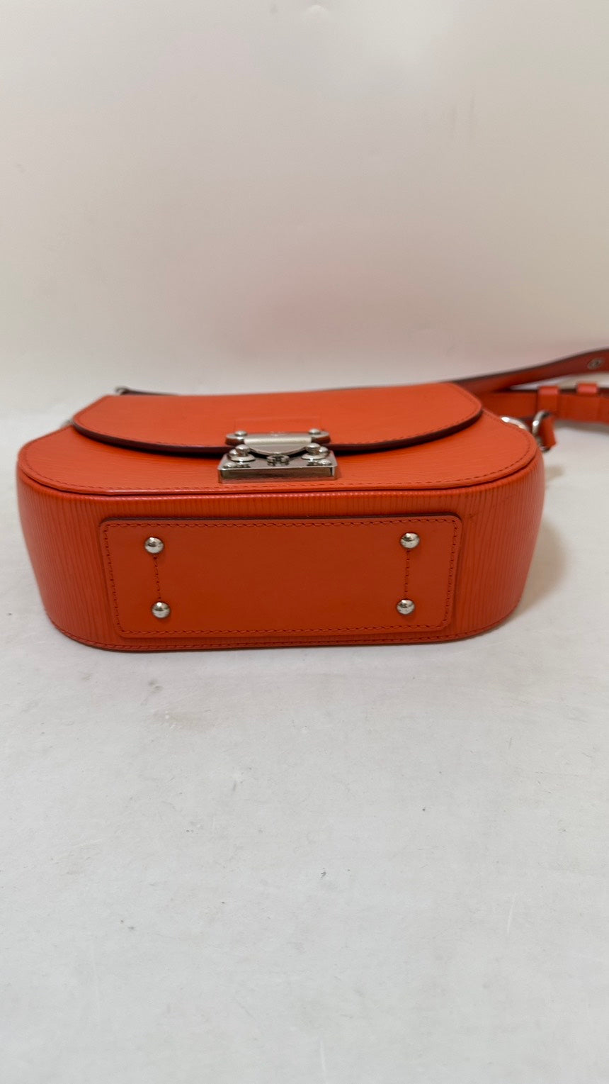 Louis Vuitton 2way bag
