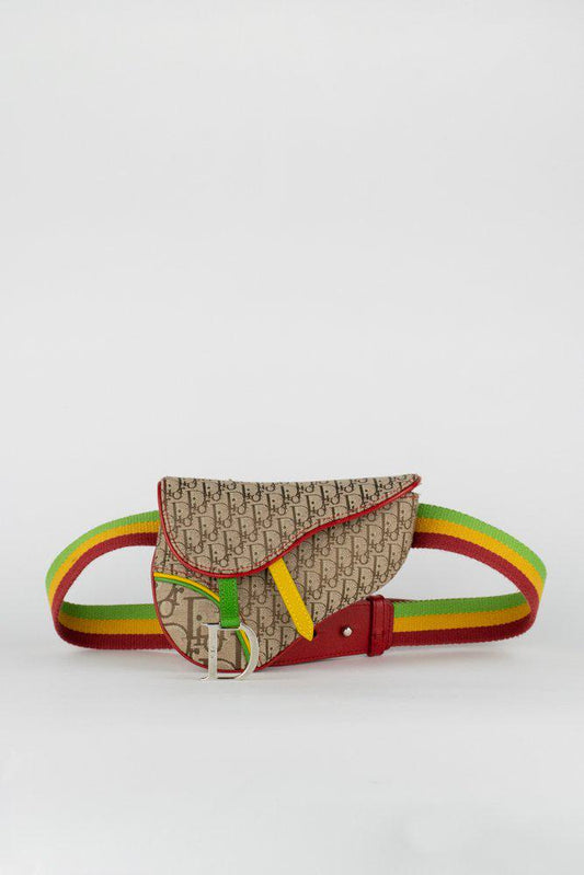 Dior Monogram Canvas Handbag