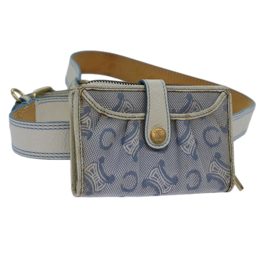 Luxury CELINE C Macadam Canvas Waist bag Blue 11883